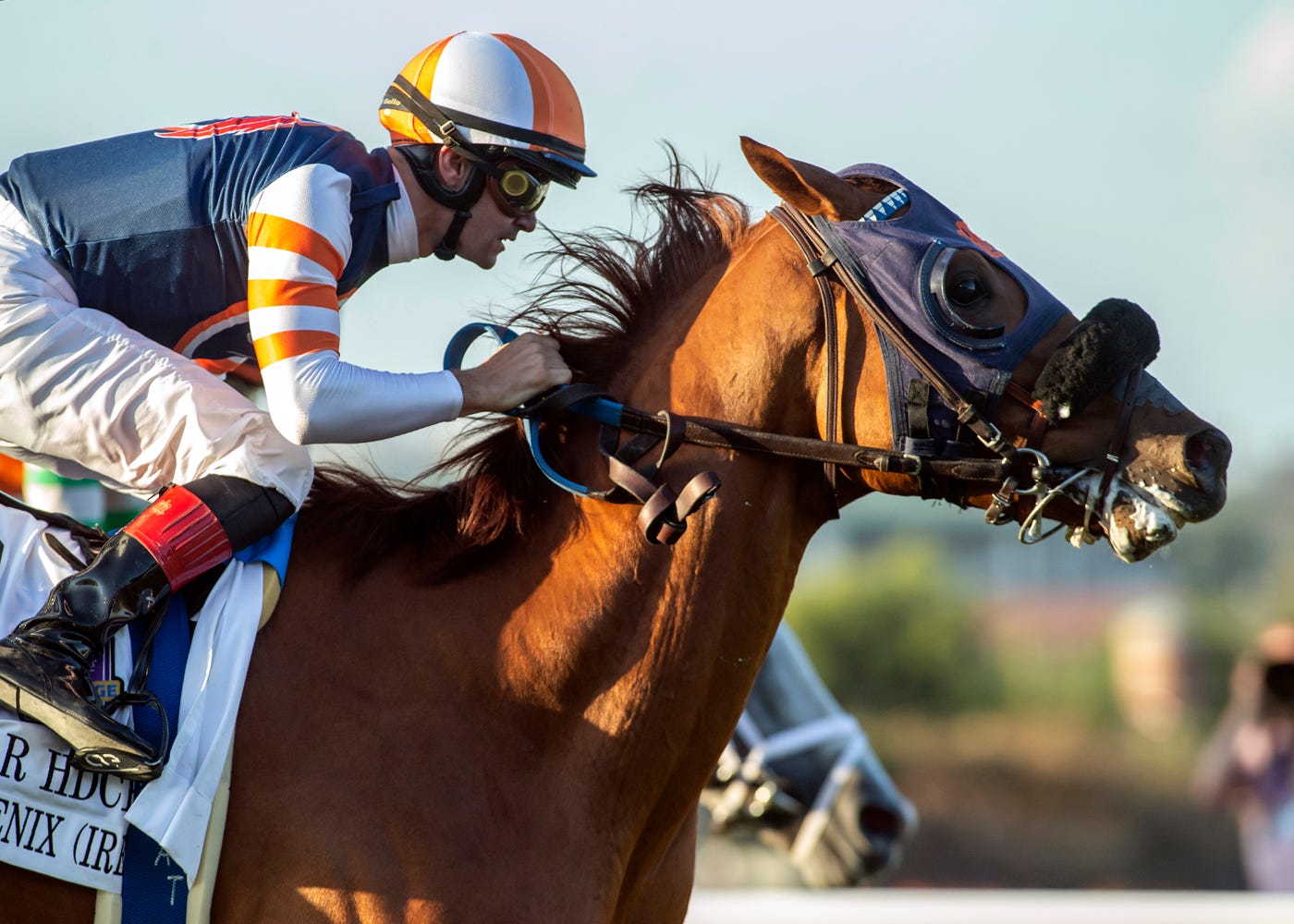 Gold Phoenix has first stakes win in Del Mar Handicap, earns BC Turf spot